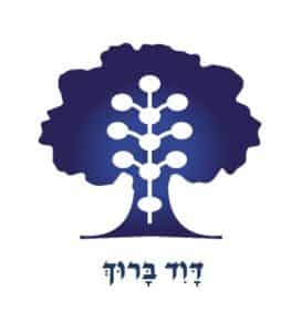 LOGO DAVID
